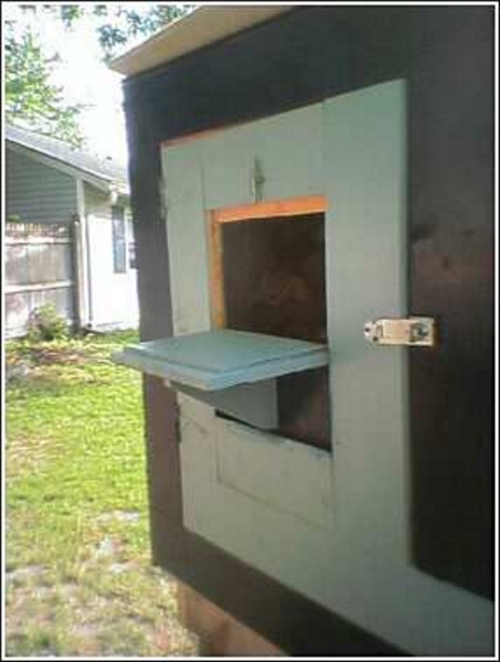 Birdloft Perch
